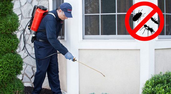 Evka 6 Dezenfeksiyon böcek ilaçlama ve haşere kontrolü — ilaclama-tr.com